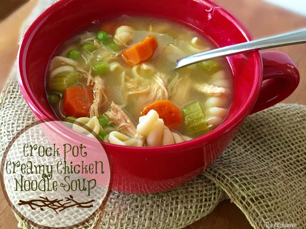 Chicken noodle soup 4