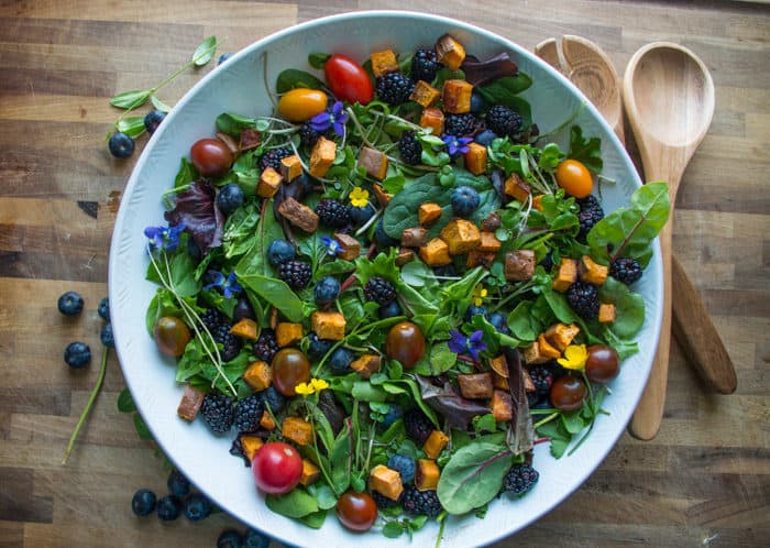 Veil of the Fairies Salad- A Whole30 vegetarian salad recipethat bursting with ripe Spring berries, dandelion greens, and topped with a delicious blueberry lemon basil beet dressing.