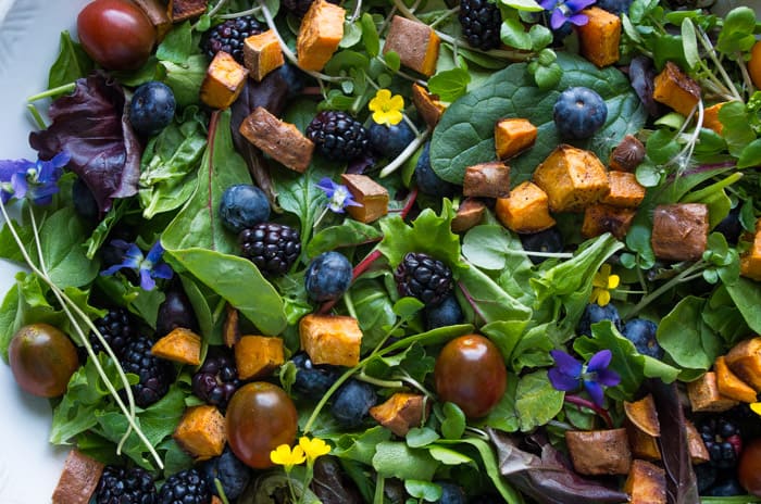 Veil of the Fairies Salad- A Whole30 vegetarian salad recipethat bursting with ripe Spring berries, dandelion greens, and topped with a delicious blueberry lemon basil beet dressing.